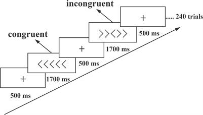 The Effect of Yoga Meditation Practice on Young Adults’ Inhibitory Control: An fNIRS Study